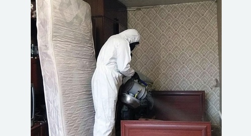 Дезинфекция от клопов в Курчатове