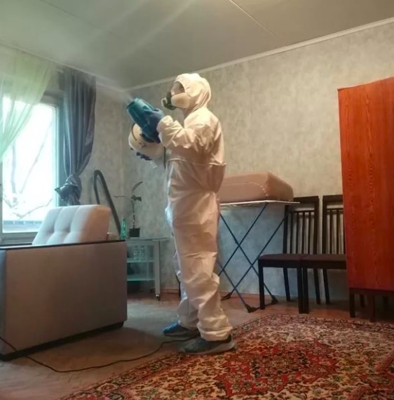 дезинсекция квартиры в Курчатове